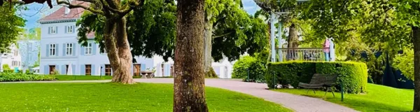 BaselLive Newsletter Edition #63