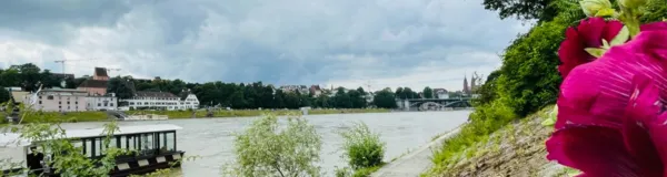 BaselLive Newsletter Edition #65