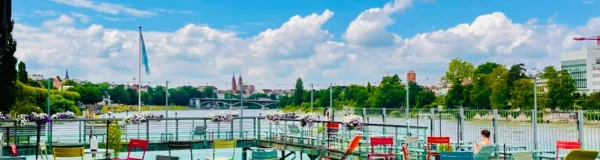 BaselLive Newsletter Edition #66