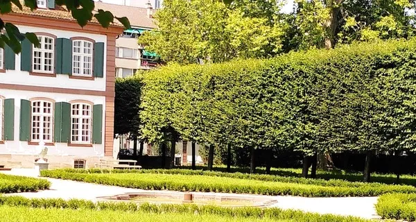 BaselLive Newsletter Edition #68