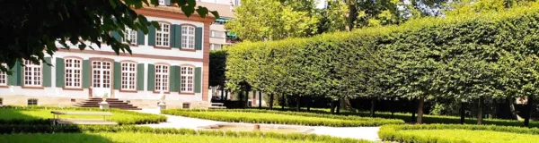 BaselLive Newsletter Edition #68