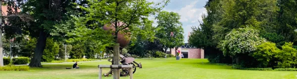 BaselLive Newsletter Edition #6