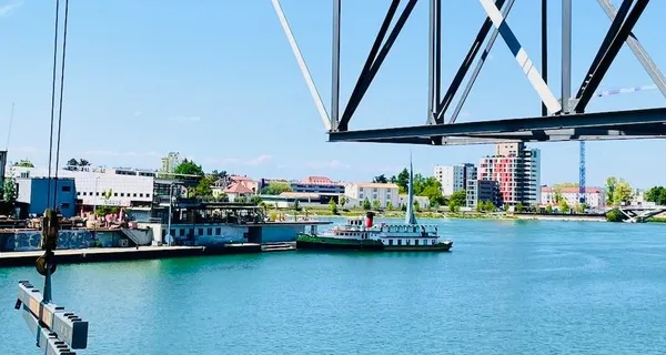 BaselLive Newsletter Edition #73