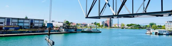 BaselLive Newsletter Edition #73