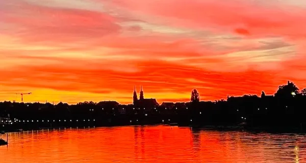 BaselLive Newsletter Edition #77