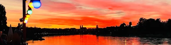 BaselLive Newsletter Edition #77