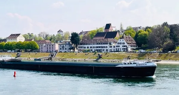 BaselLive Newsletter Edition #79