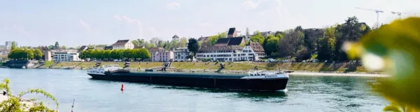 BaselLive Newsletter Edition #79