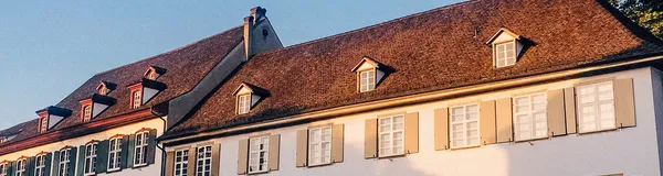 BaselLive Newsletter Edition #7