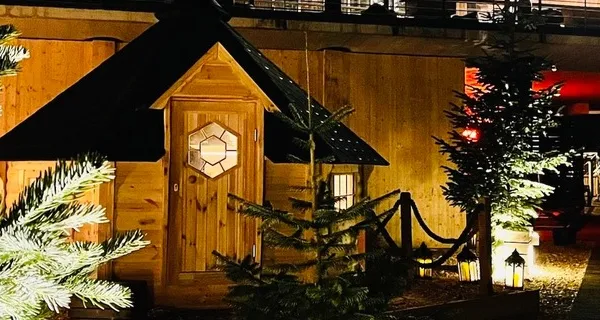 BaselLive Newsletter Edition #87