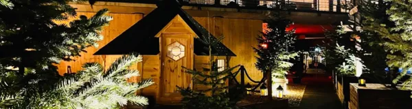 BaselLive Newsletter Edition #87