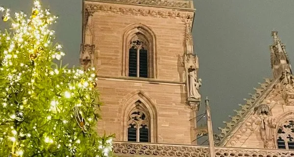 BaselLive Newsletter Edition #89