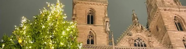 BaselLive Newsletter Edition #89