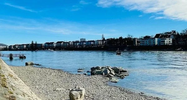 BaselLive Newsletter #96