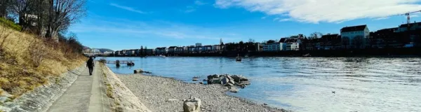 BaselLive Newsletter #96