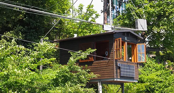 BaselLive Newsletter Edition #9