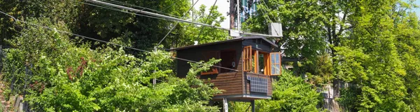 BaselLive Newsletter Edition #9