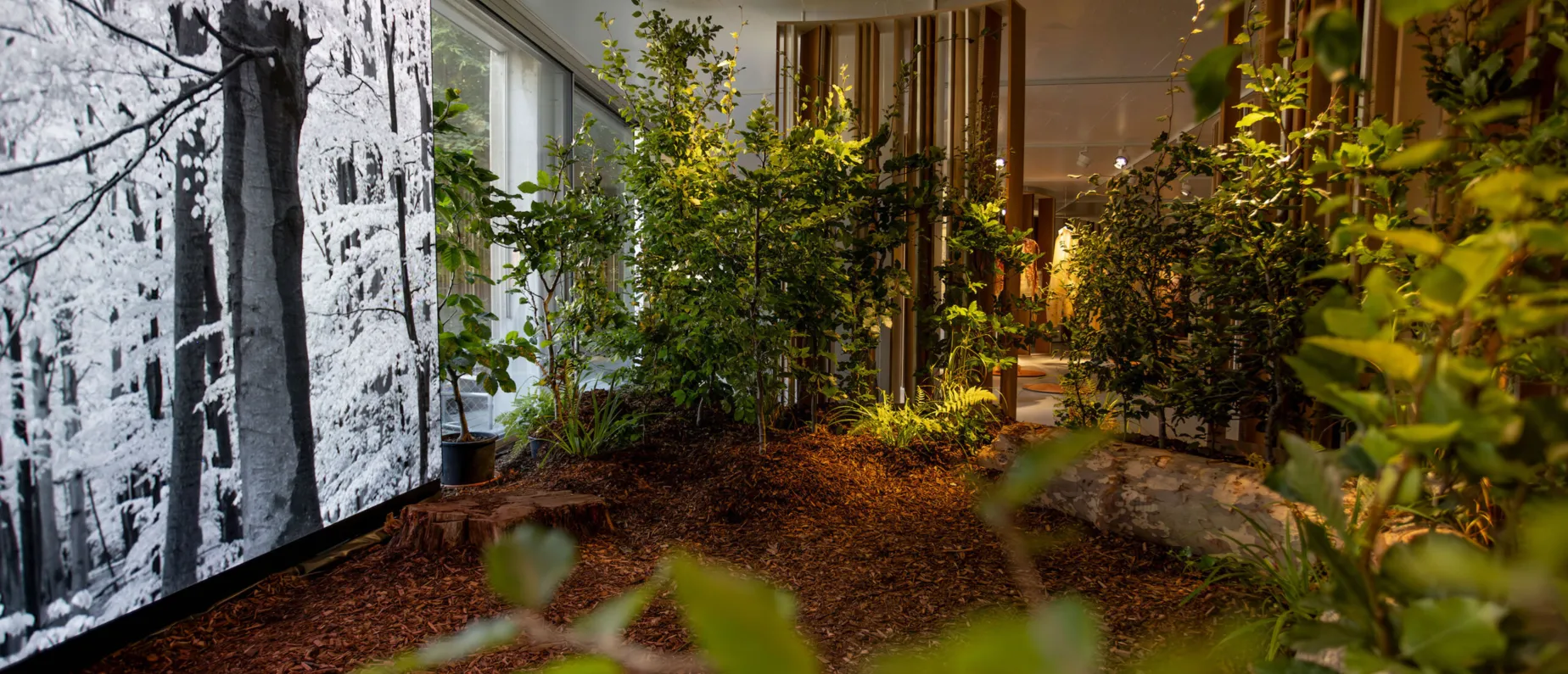 Zheng Bo & Matthias Rillig, The Political Life of Plants 2, 2023, Installation, Experimental Ecology, KBH.G