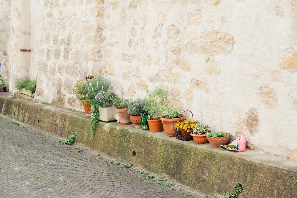 Aarau EssBAR – von der Bündte bis Urban Gardening