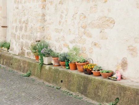 Aarau EssBAR – von der Bündte bis Urban Gardening
