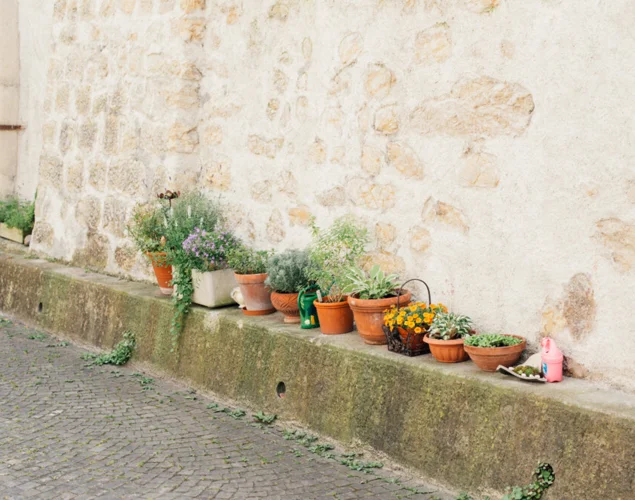 Aarau EssBAR – von der Bündte bis Urban Gardening