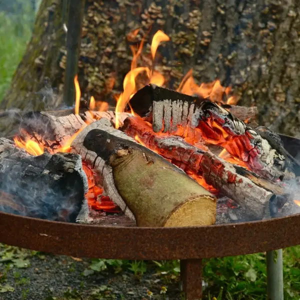 Wurst und Bier