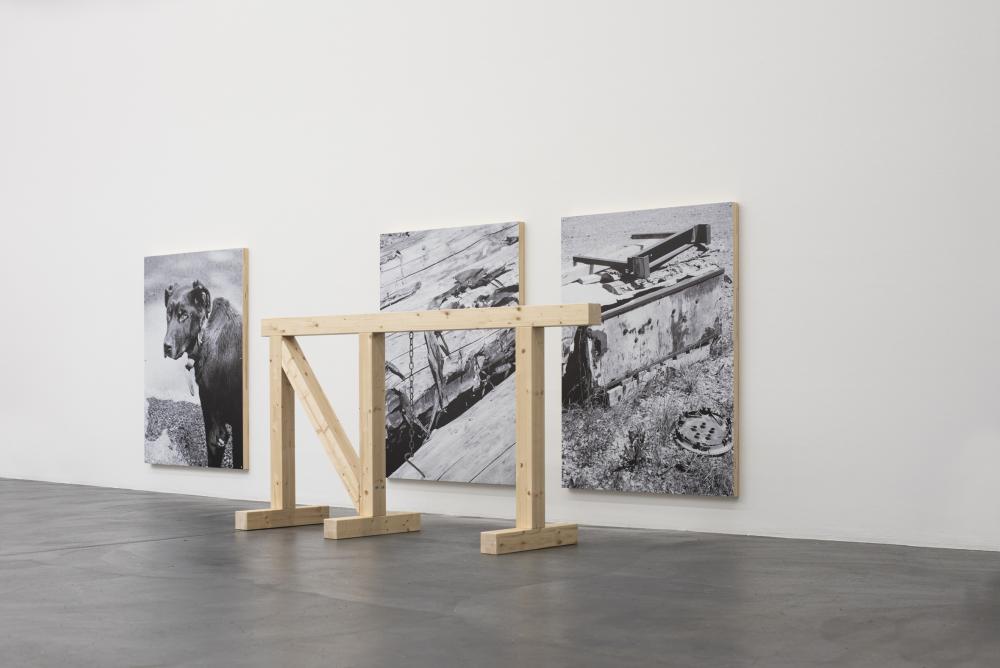 Kelly Tissot, Hurdle and locket, Holz, Stahl; Mute mutt and deadspace, Digitaldrucke auf Aluminium, Holz