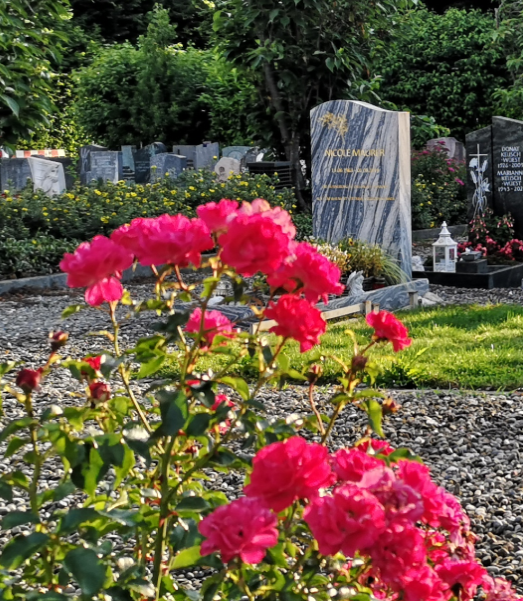 Umgebung der Kirche entdecken