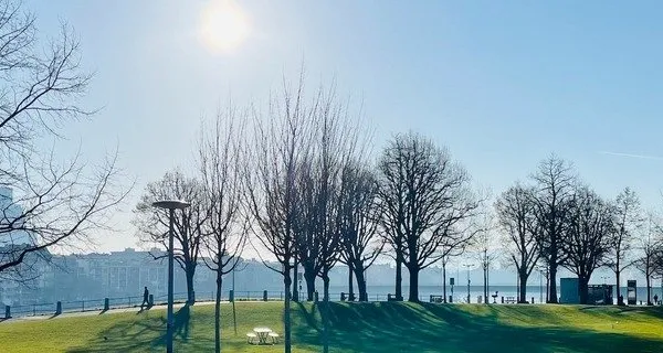 BaselLive Newsletter #97