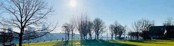 BaselLive Newsletter #97