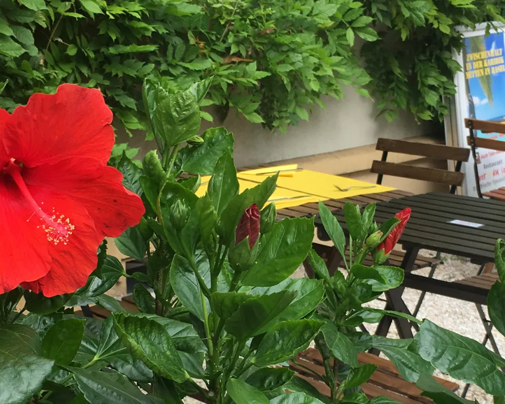 Restaurant "lever du soleil"