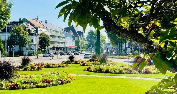 BaselLive Newsletter #103