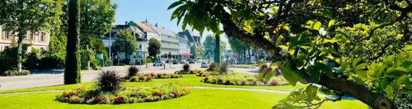 BaselLive Newsletter #103