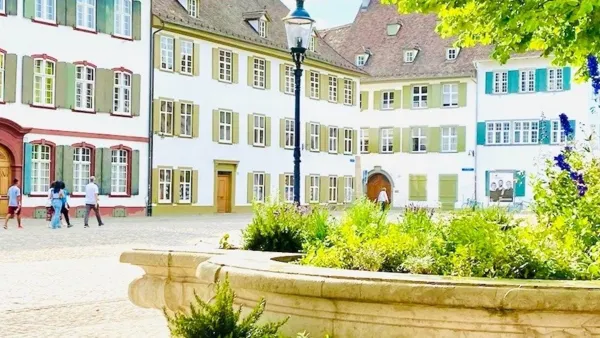 BaselLive Newsletter #113