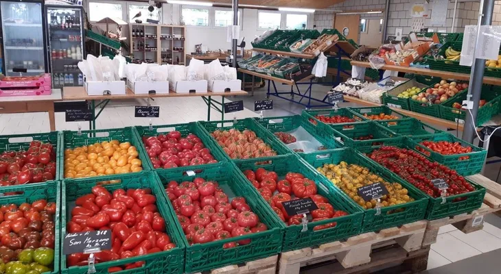 Hofladen Gemüsebau Fischer Hofladen Gemüsebau Fischer