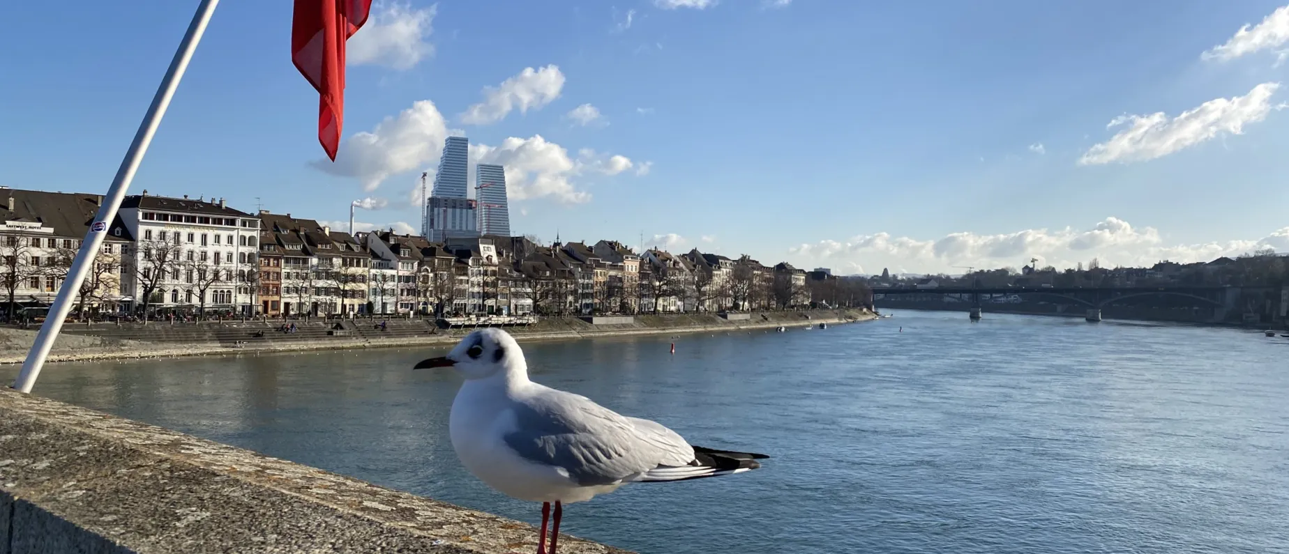 Der erste Storch ist auch schon da! Äh, nein. Leider noch nicht.