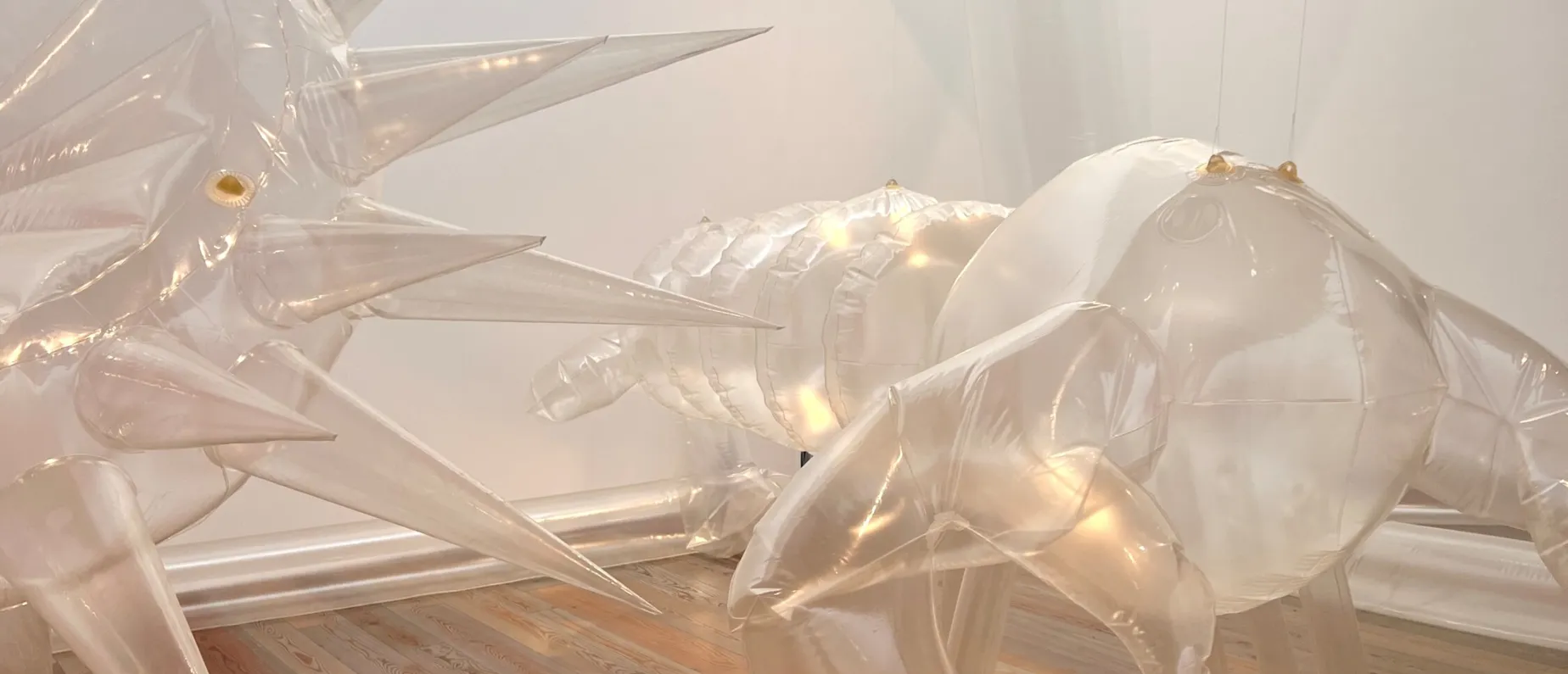 Anemones: An Air Aquarium (1976)