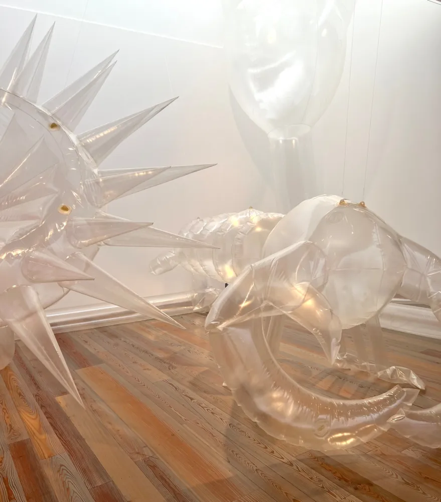 Anemones: An Air Aquarium (1976)