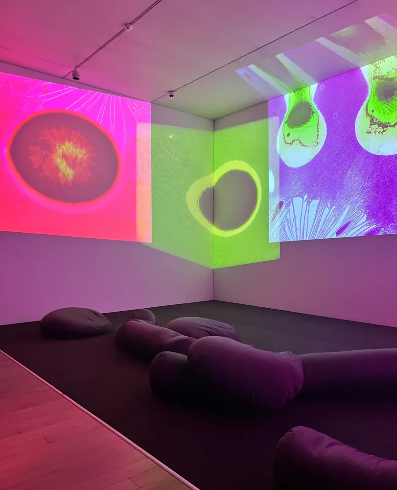 Die Sonne kommt näher (1966/1967)