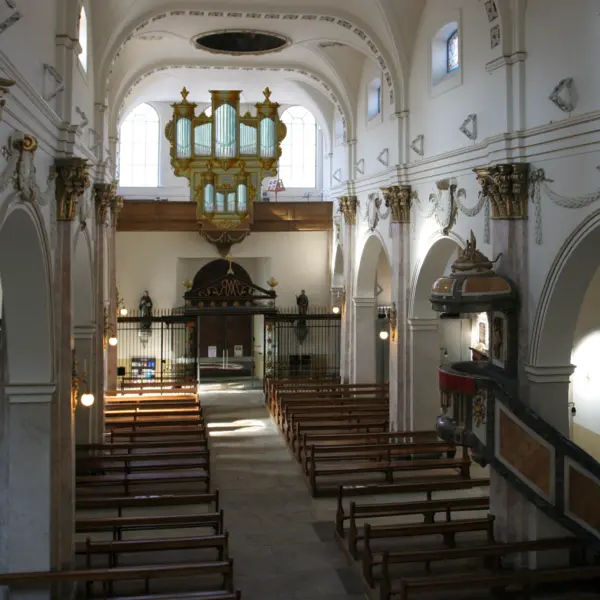 Stella Maris - découverte du projet d’orgue et petit concert par les organistes de la Basilique 