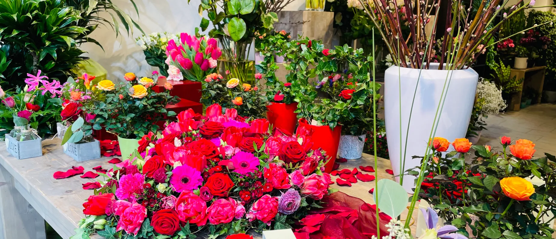 Blumen Dufour