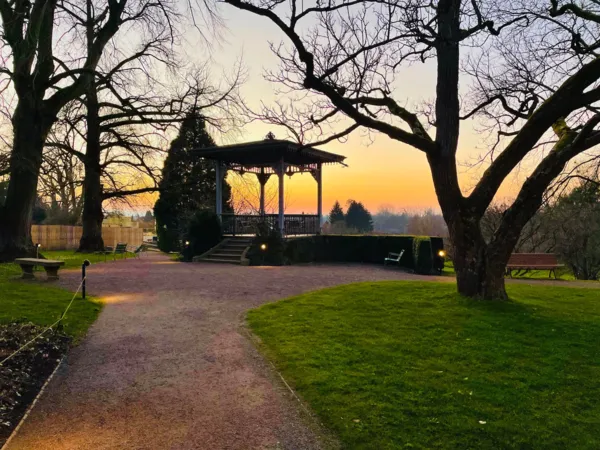 BaselLive Newsletter #148