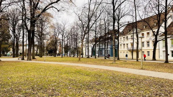 BaselLive Newsletter #94