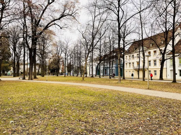 BaselLive Newsletter #94