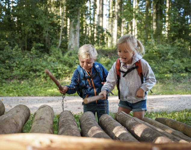 Waldabenteuer Aarau