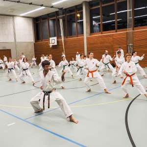 Karate für Erwachsene/Jugend
