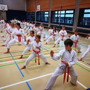 Kinder-Karate Training Kampfsportschule Aarau