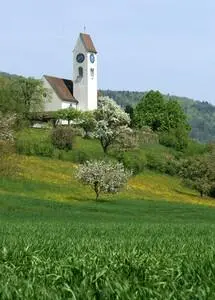 Konzert mit Orgel und Trompete