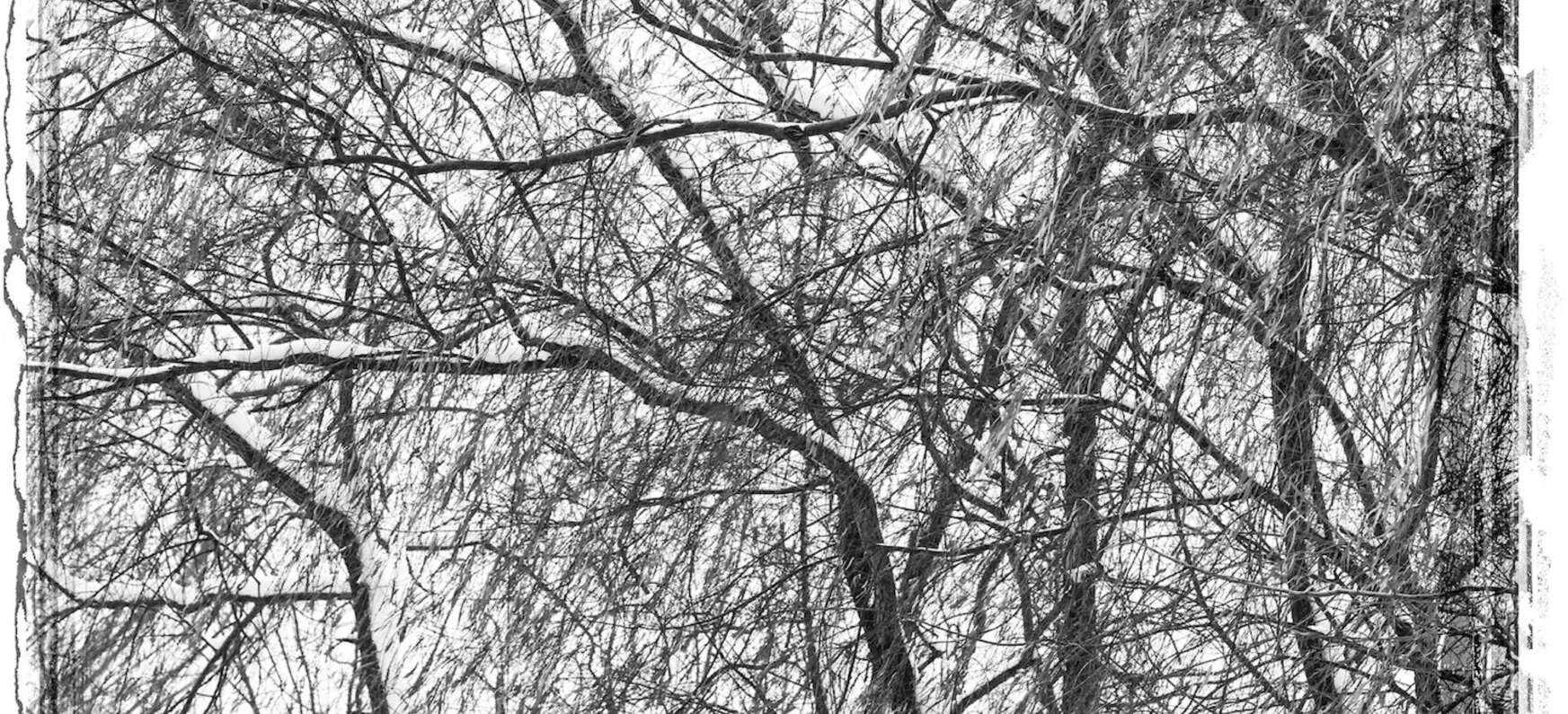 Kim Jungman, Compassion of Winter, 2000, 180 x 240 cm