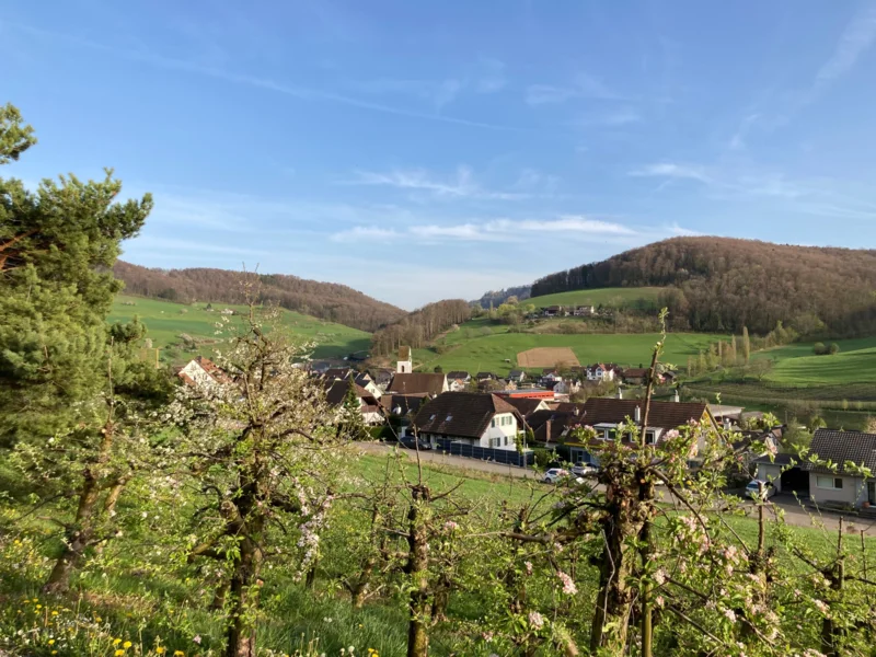 mitenand unterwägs: Streichmusikkonzert, Abendwanderung und Orgelklänge